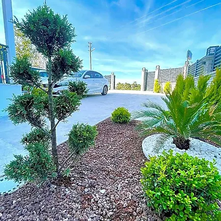 Airport Alibaba دالامان